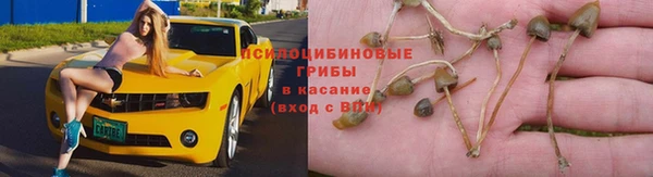 гашиш Баксан